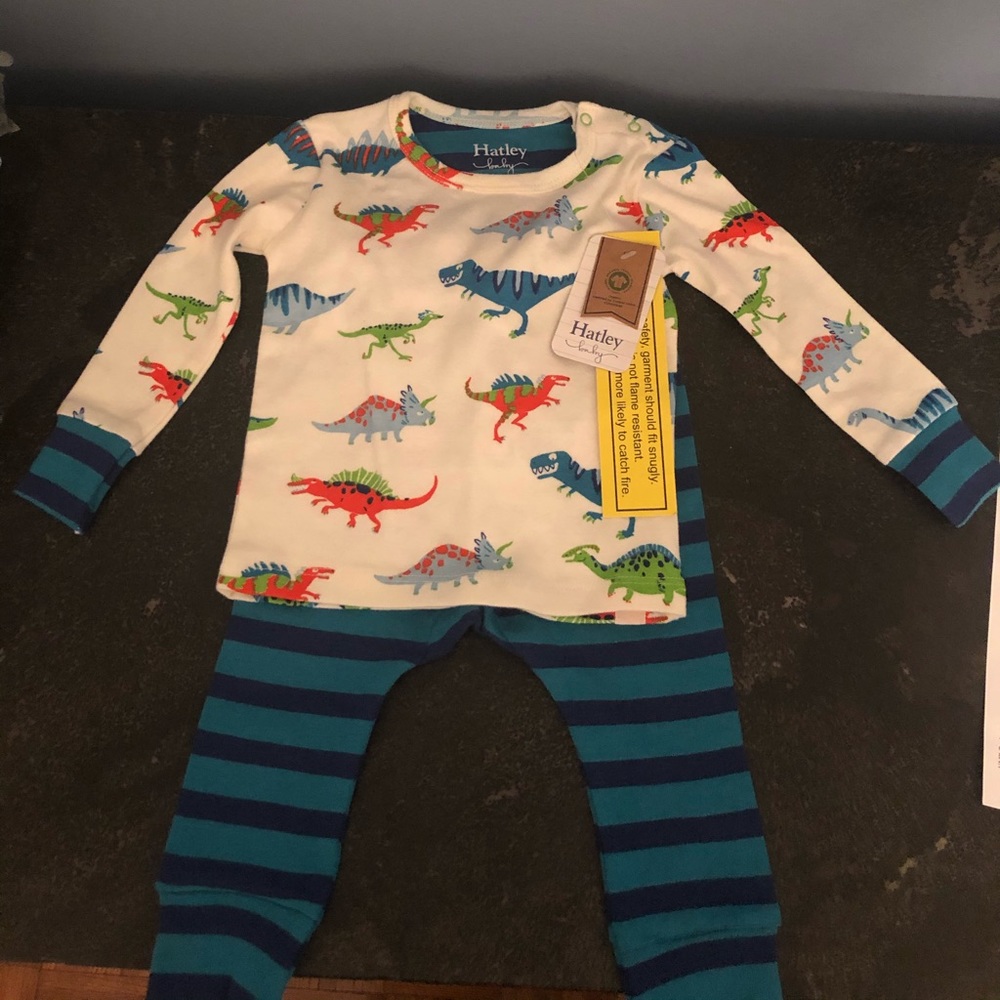 Hatley dinosaur pajamas with dinosaur on behind
